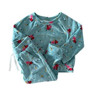 Cat & Jack Toddler Girl Velour Floral Lounge Set 2T Blue Jogger Set